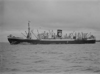 800px-MV_Brisbane_Star_AllanGreen.jpg