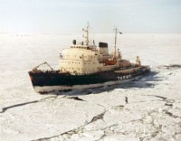 Tarmo01.jpg
