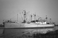 MARCELI NOWOTKO - IMO 5220928.jpg