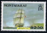 SG699.jpg