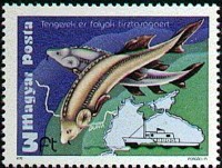Hungary 1979.jpg
